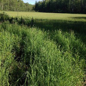 Meet your Posher, Annamarie